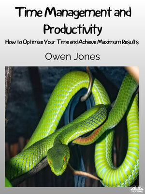 cover image of Time Management And Productivity